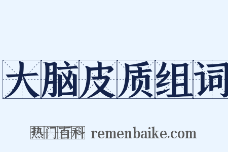 大脑皮质组词是什么意思的图片